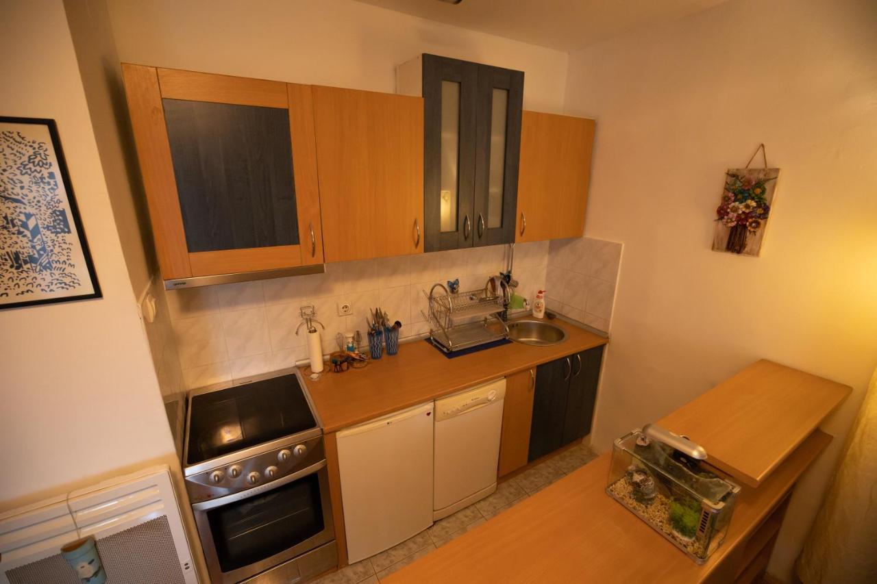 Cushy Apartment Close To City Centre Podgorica Zewnętrze zdjęcie